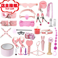 情趣私密用品sm捆绑套装性工具成人调情道具绳子女用皮鞭调教玩具欢乐小鸟 粉色27件套SM