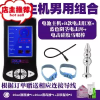 电击套装情趣棒另类sm刑具调教男用马眼棒肛塞女用电击夹子欢乐小鸟 电池脉冲男用组合SM