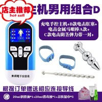 电击套装情趣棒另类sm刑具调教男用马眼棒肛塞女用电击夹子欢乐小鸟 充电主机男用组合DSM