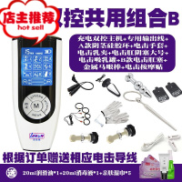 电击套装情趣棒另类sm刑具调教男用马眼棒肛塞女用电击夹子欢乐小鸟 充电双控共用组合BSM