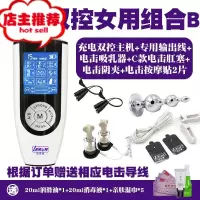 电击套装情趣棒另类sm刑具调教男用马眼棒肛塞女用电击夹子欢乐小鸟 充电双控女用组合BSM