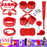 sm道具捆绑套装情趣工具调教手铐用具调情另类玩具性用品夫妻用品欢乐小鸟 毛绒[红SM 11件套]送7礼+润滑剂
