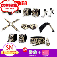 情趣用品sm道具套装捆绑绳眼罩手铐皮鞭子口塞乳夹调教工具欢乐小鸟 豹纹皮革8件套+骰子+收纳袋SM