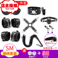 情趣用品sm道具套装捆绑绳眼罩手铐皮鞭子口塞乳夹调教工具欢乐小鸟 黑色皮革8件套+骰子+收纳袋+狐狸尾巴SM