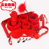 sm情趣设备全套用品小皮鞭情趣工具用具女王道具捆绑手链脚链欢乐小鸟 红色皮鞭手拍