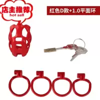 男用阴茎锁裤带鸟笼夫妻男性调情SM另类性玩具欢乐小鸟 D款[平面款]红色其他SM用品