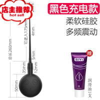 情趣用具夫妻性用品吸合歡房趣床上爱爱器调情辅助成入私处工具欢乐小鸟 充电震动款黑色+油(乳夹阴夹血其他SM用品