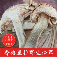 香格里拉 野生松茸干片 带皮 去皮 100g袋装/250g礼盒装 营养菌菇蘑菇干货 云南特产非姬松茸