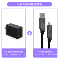 TEGIC氮化镓充电器65W快充头MacBookPro|大岩蛇多功能线套装丨配TEGIC大岩蛇多功能线丨灰