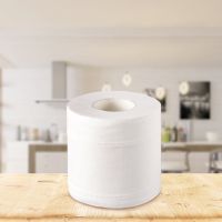 伊尔姿4层卫生纸卷纸家用空心卷筒纸家庭装有芯厕所纸实惠装|加大100克(8卷装)送手帕纸1包