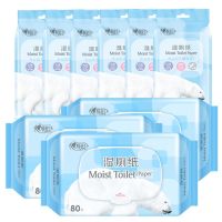 湿厕纸私处清洁女性经期卫生湿巾成人男女用房事厕湿巾|家用3包+单片6包