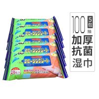 300片静电除尘纸地板湿巾干巾套装 送平板拖把吸毛发一次性拖地布|5包100抽[加厚抗菌湿巾]