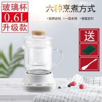 全自动电炖杯电热杯陶瓷玻璃办公室隔水炖迷你煮粥燕窝花茶养生壶|0.6L玻璃养生杯+过滤器