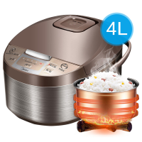电饭煲wfd4016智能家用电饭锅多功能全自动预约柴火饭4l|尊享版4016褐色4L