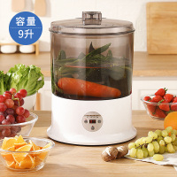 果蔬解毒机家用超声波洗菜机净化活氧消毒清洗机去除农药水果蔬菜|浅灰色