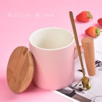 马克杯北欧风格咖啡杯情侣款式女带盖勺办公室家居茶杯陶瓷水杯|木柄粉带盖勺