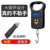 迷你手提称重器电子秤便携式家用厨房弹簧秤高精度可选充电快递称|电池款大提环黑+尼龙绳收藏送电池