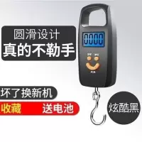 迷你手提称重器电子秤便携式家用厨房弹簧秤高精度可选充电快递称|（电池款）黑收藏送电池