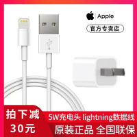 Apple/原装数据线iphone7/6plus手机正品11pro套装xsmax充电线8p充电器头正版ipad加长2米P