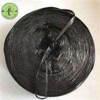 透明包装绳白色绳子塑料打包绳塑料绳子捆绑绳透明绳包装尼龙绳子|黑色10斤 10厘米