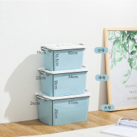 加厚收纳箱塑料家用大号收纳盒子杂物玩具储物箱 车载用 收纳箱子|天蓝色 中号[3个]