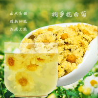 [春发茶业]杭白菊菊花茶 正宗桐乡原产杭白菊 散装菊花茶 50g散装