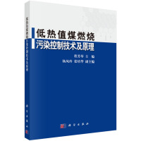 低热值煤燃烧污染控制技术及原理