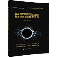 等离子体蚀刻及其在大规模集成电路制造中的应用(精)/高端集成电路制造工艺丛书