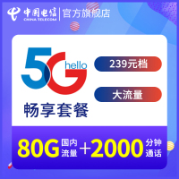 中国电信中国湖南电信全国流量畅享239元档（5G）电话卡手机卡流量卡