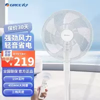格力(GREE)电风扇家用落地扇大风量低音节能立式遥控风扇摇头电扇预约定时座地扇 学生五叶风扇 FD-40X77Bh5
