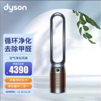 戴森(Dyson) TP06 新品空气净化风扇 净化甲醛 整屋循环 智能连接 黑金色 戴森新品震撼上市 无叶净化风扇