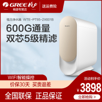 格力(GREE)净水器家用无桶600G大流量反渗透RO膜过滤小体积智能wifi直饮纯水机 WTE-PT95-2x601b