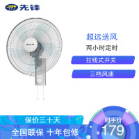 先锋(SINGFUN)壁扇 电风扇 家用餐厅3叶工业挂壁式电风扇可摇头3档调节大风力挂壁风扇 办公 FW40-10B