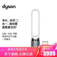 戴森(Dyson) TP04 空气净化循环风扇 兼具空气净化器和循环扇功能 智能塔式 儿童安全 电风扇 银白色