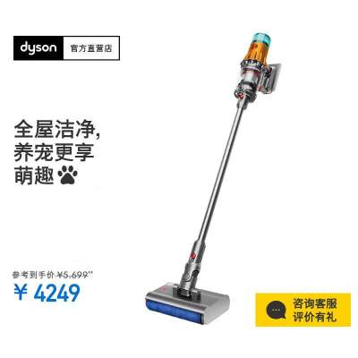 戴森(Dyson)吸尘器V12 Detect Slim Nautik 洗地吸尘器 干湿全能 整屋清洁