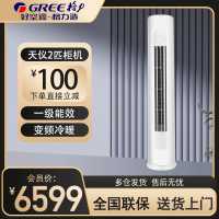 格力(GREE)空调KFR-50LW/(50504)FNhAa-B1 天仪系列2匹变频新一级能效自清洁圆柱立柜式冷暖空调