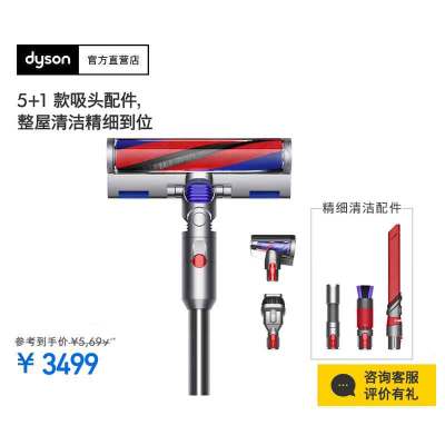 戴森(DYSON)V12 Origin大吸力吸尘器(铁镍色)手持无线 除螨 宠物 家庭适用