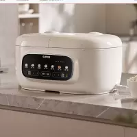 苏泊尔(SUPOR)电饭煲家用0涂层不锈钢双内胆2.5L+2.5L容量3-6人使用 立体加热多功能SF25TC1062