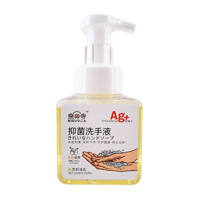 奈寺AG+银离子抑菌洗手液250ml