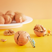 疆域坚果 手剥烤核桃 薄皮核桃 新疆薄皮核桃奶香味核桃