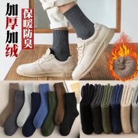 袜子男冬季长袜加绒加厚中筒袜男士冬天厚款保暖袜纯色防臭毛圈袜