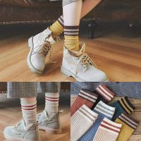 袜子女中筒韩版堆堆袜日系ins女长筒秋冬季网红可爱潮长袜女学生