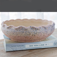 多肉花盆大口径简约陶瓷大号家用肉肉植物粗陶特价清仓