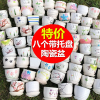 多肉花盆陶瓷特价清仓大号肉肉植物个性绿萝创意简约大口径小花盆