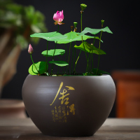 水培荷花睡莲铜钱紫砂碗莲盆缸小金鱼无孔大号陶瓷花盆