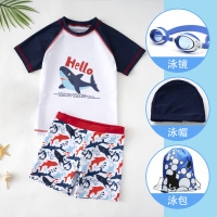 儿童泳衣男童游泳裤宝宝分体泳衣童小童可爱速干游泳衣