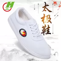 红棉太极鞋牛筋底帆布鞋夏季武术鞋儿童练功鞋男太极拳训练运动鞋