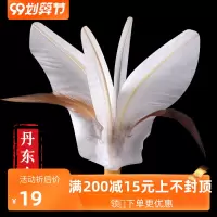 毽子比赛专用训练成人健身儿童小学生幼儿园耐踢鸡毛毽球