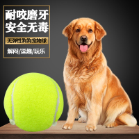 狗狗玩具球金毛泰迪弹力球耐咬磨牙网球宠物幼犬拉布拉多玩具
