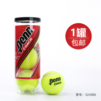 网球黄金球 3个装胶罐耐磨高弹力专业比赛训练球
